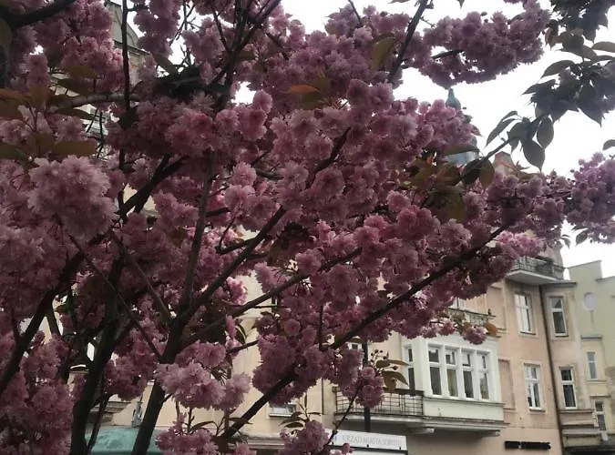 民宿 Za Zielonymi Drzwiami